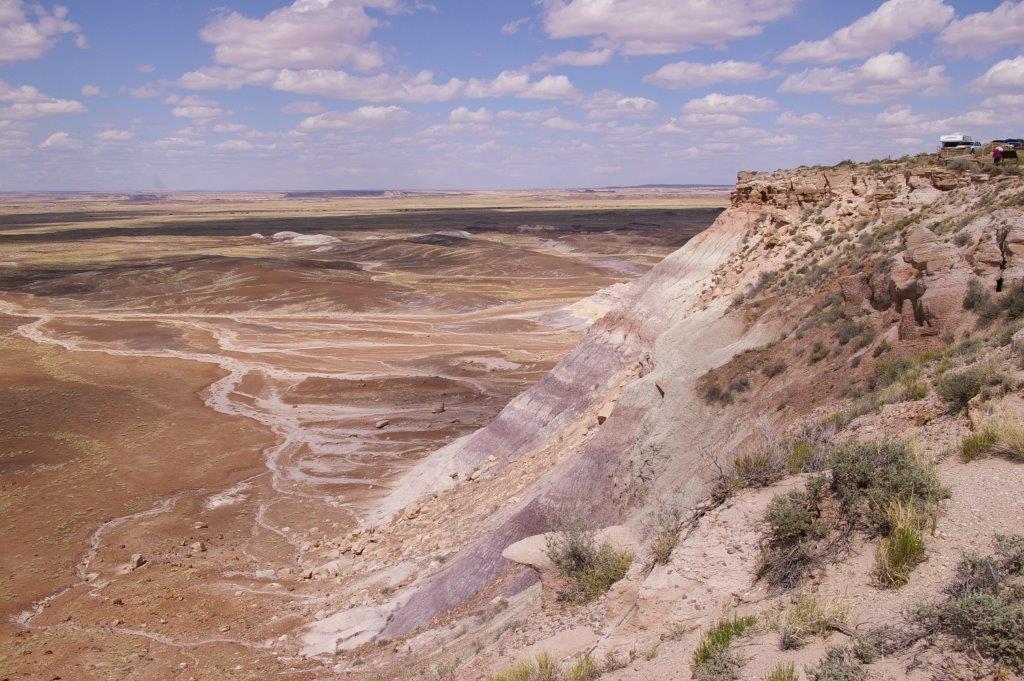 Petrified Forest